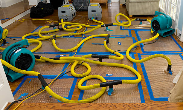 Professional Crawl Space Water Removal technician working in New Albany, IN